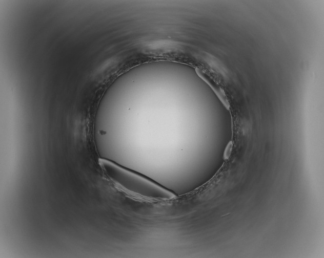 X0000116150965200911231328