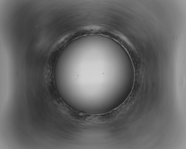 X0000116150967200911231328