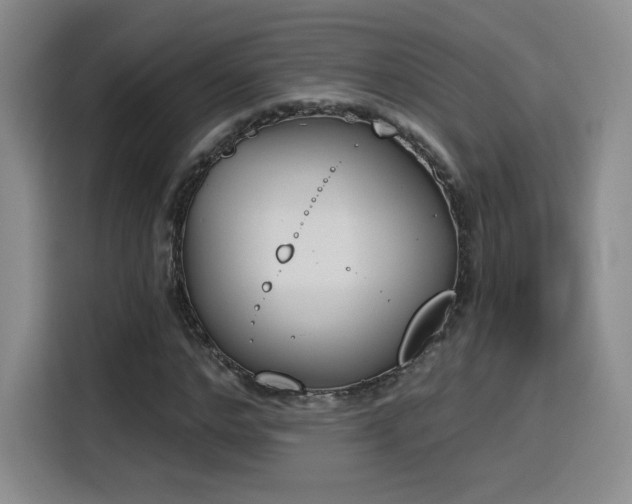 X0000116150968200911231328