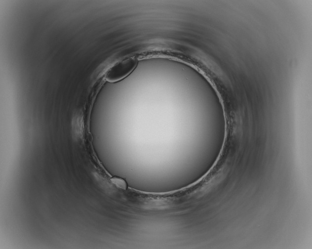 X0000116150969200911231328