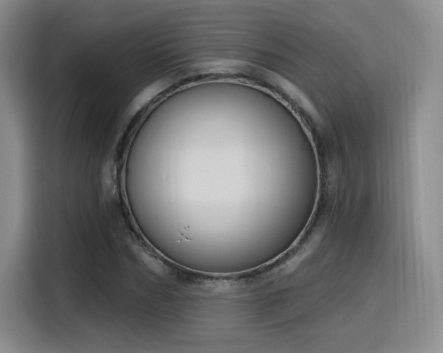 X0000116150970200911231328