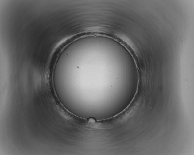 X0000116150971200911231328