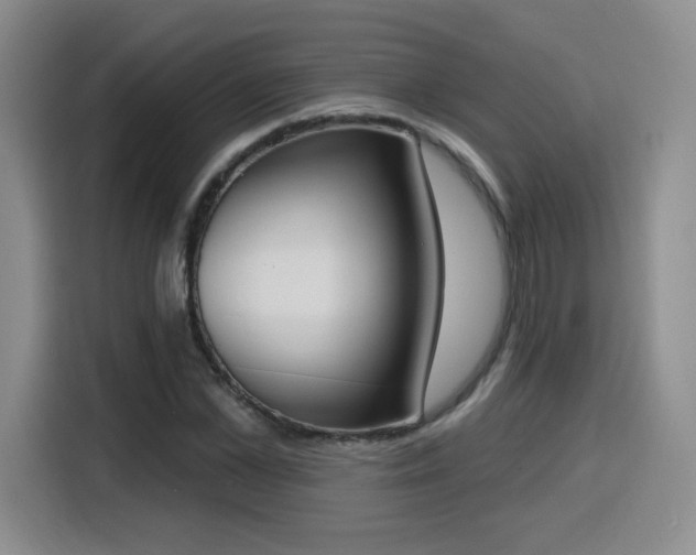 X0000116150973200911231328