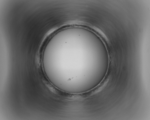 X0000116150974200911231328