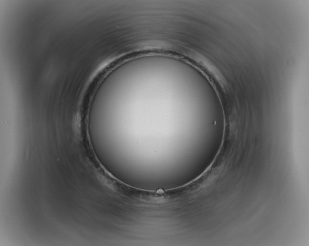 X0000116150975200911231328