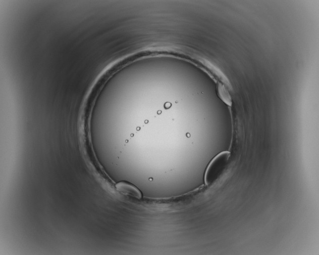 X0000116150976200911231328