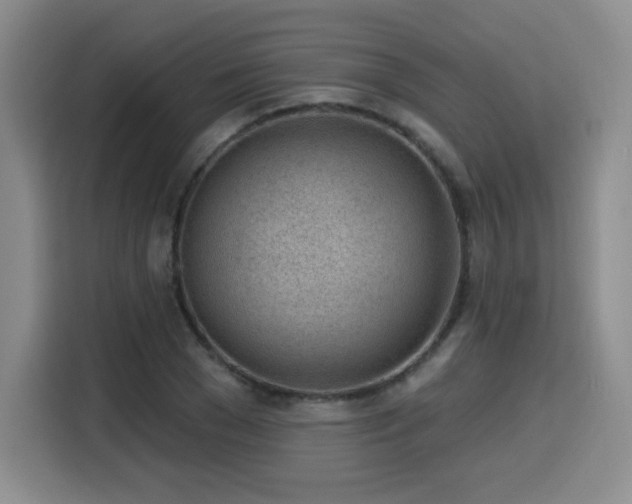 X0000116150977200911231328