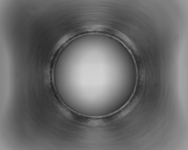 X0000116150978200911231328