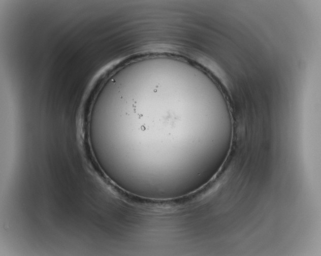 X0000116150979200911231328