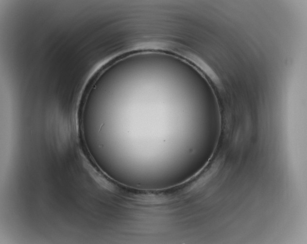 X0000116150980200911231328