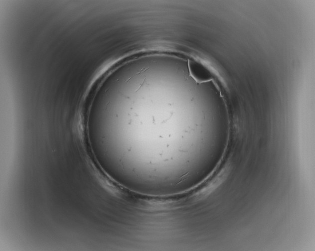 X0000116150981200911231328