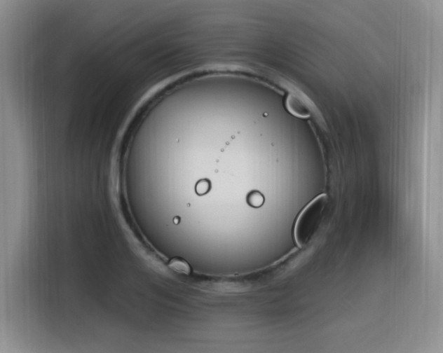 X0000116150984200911231328