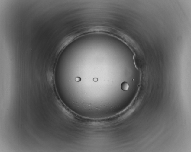 X0000116150985200911231328