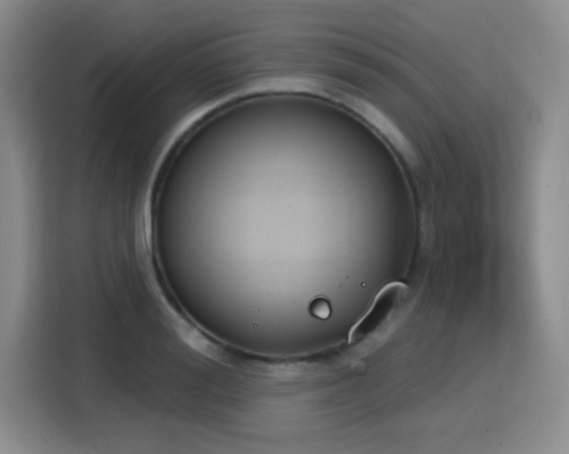 X0000116150988200911231328