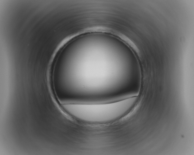 X0000116150989200911231328