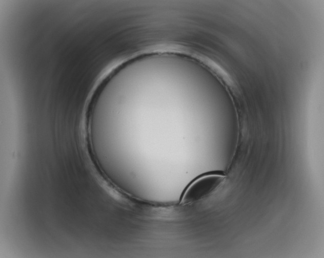 X0000116150990200911231328