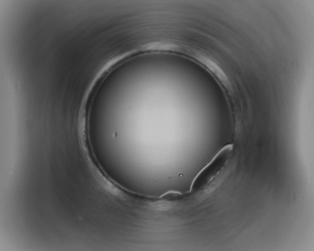 X0000116150992200911231328