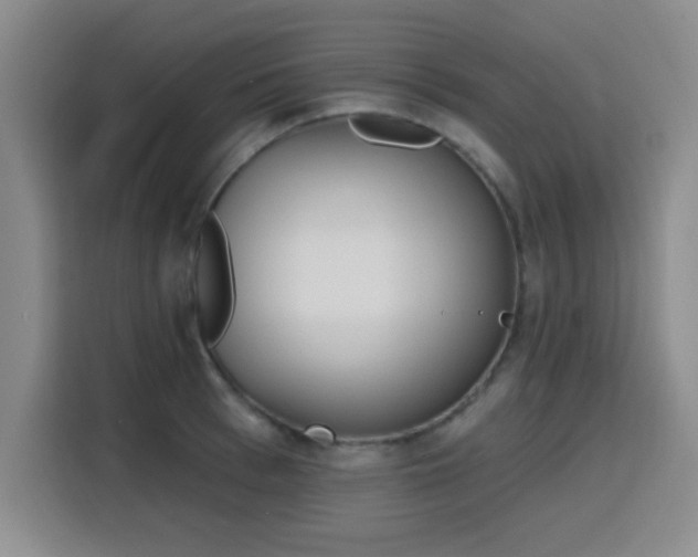 X0000116150993200911231328