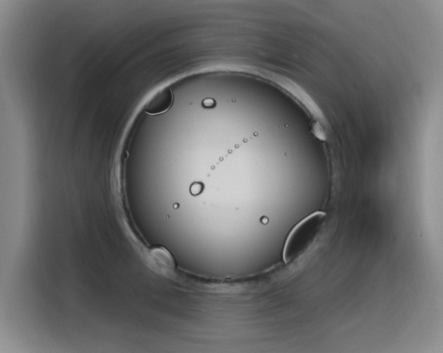 X0000116150996200911231328