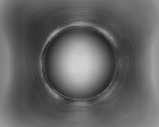 X0000116150998200911231328