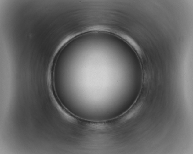 X0000116150999200911231328