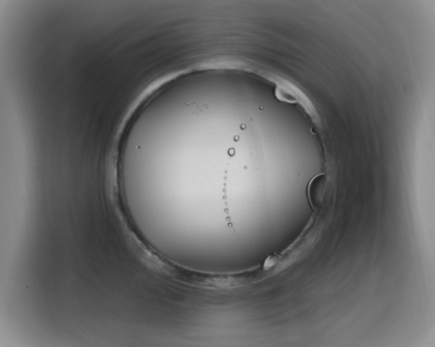 X0000116151000200911231328