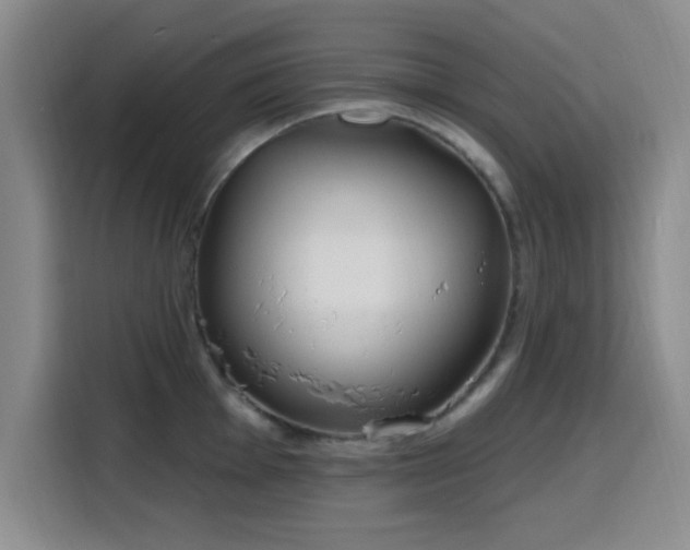 X0000116151001200911231328