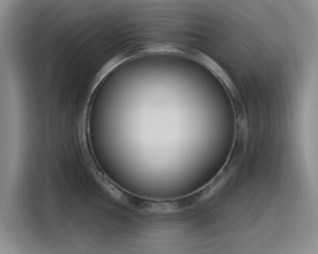 X0000116151002200911231328