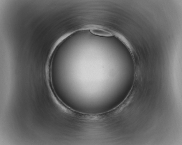 X0000116151003200911231328