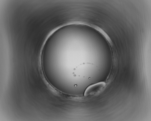 X0000116151004200911231328