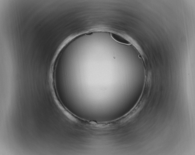 X0000116151005200911231327