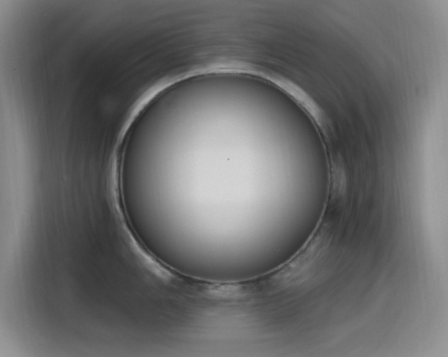 X0000116151006200911231327