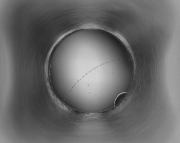 X0000116151008200911231327