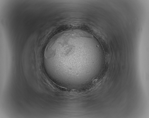 X0000116151009200911231327