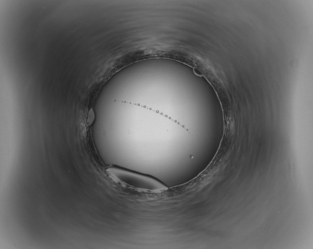 X0000116151012200911231327