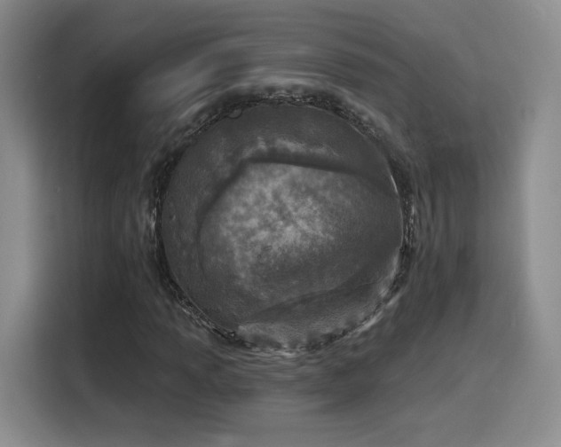 X0000116151013200911231327