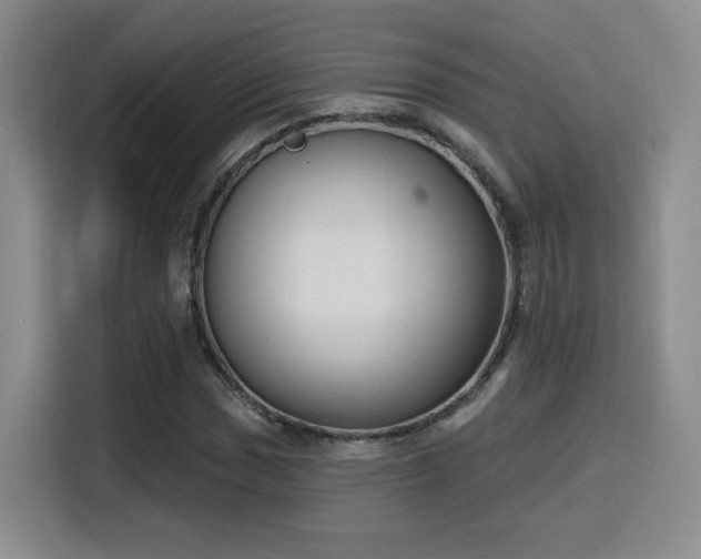 X0000116151017200911231327