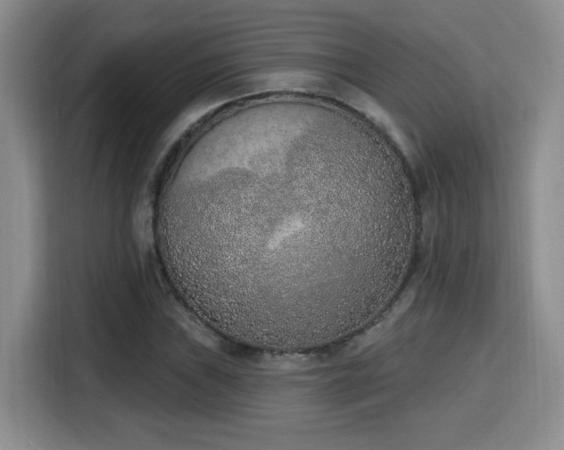 X0000116151019200911231327