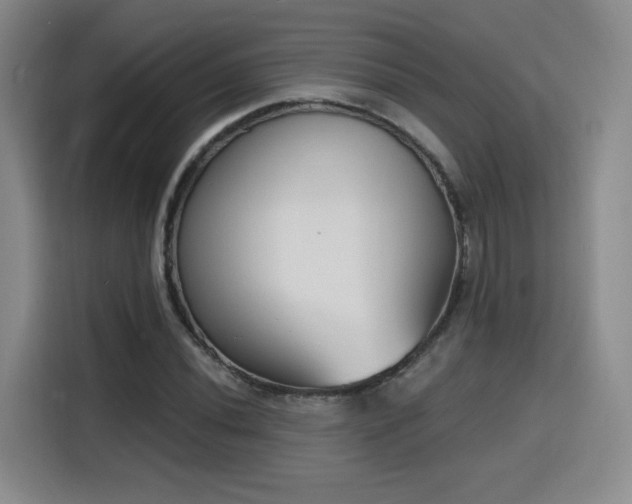 X0000116151020200911231327