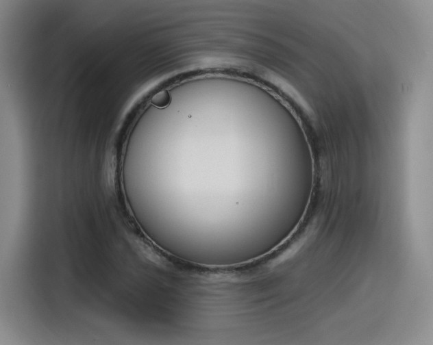 X0000116151021200911231327