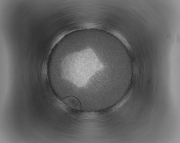 X0000116151023200911231327