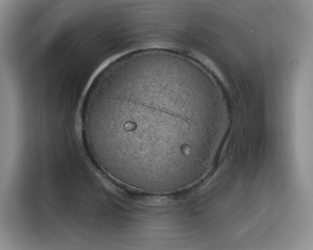 X0000116151024200911231327