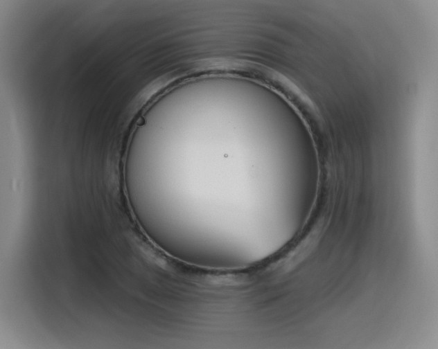 X0000116151025200911231327