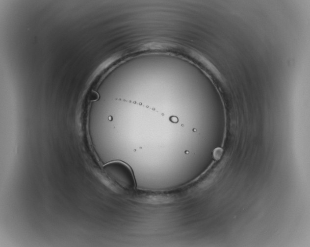 X0000116151026200911231327