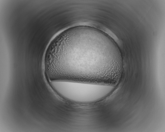 X0000116151028200911231327