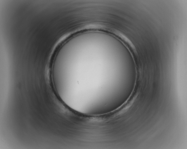 X0000116151029200911231327