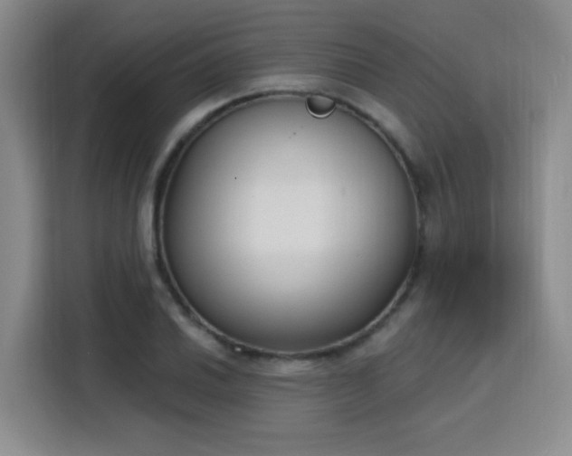 X0000116151030200911231327