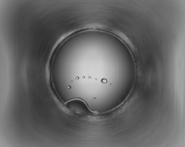 X0000116151032200911231327