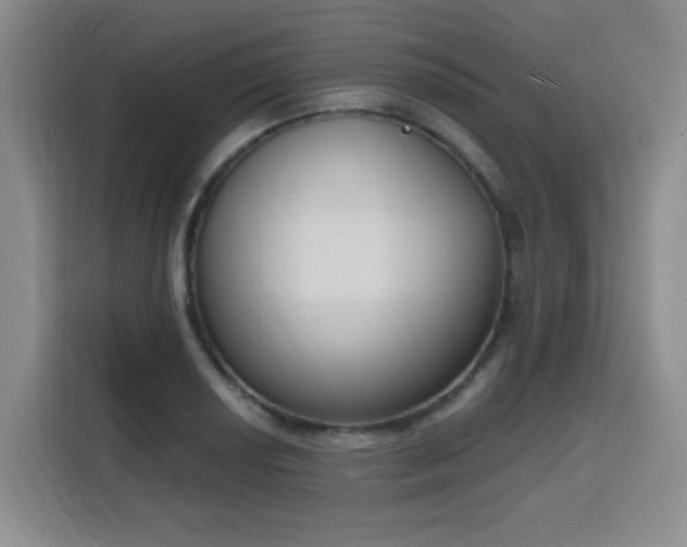 X0000116151034200911231327