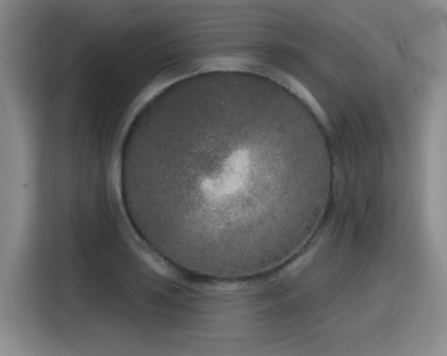 X0000116151035200911231327